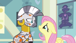 Size: 1920x1080 | Tagged: safe, screencap, fluttershy, zecora, pegasus, pony, zebra, a health of information, g4, anatomy chart, chart, cute, doctor's office, duo, ear piercing, earring, female, floppy ears, frown, jewelry, mare, neck rings, piercing, raised hoof, sad, shyabetes, sick, spots, swamp fever