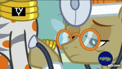 Size: 640x360 | Tagged: safe, screencap, doctor muffin top, zecora, earth pony, pony, zebra, a health of information, g4, animated, breathing, examination, female, gif, glasses, heartbeat, listening, male, stallion, stethoscope, swamp fever, tv-y