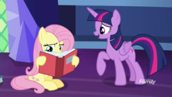 Size: 1920x1080 | Tagged: safe, screencap, fluttershy, twilight sparkle, alicorn, pegasus, pony, a health of information, g4, book, discovery family logo, duo, female, mare, reading, twilight sparkle (alicorn)