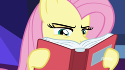 Size: 1920x1080 | Tagged: safe, screencap, fluttershy, a health of information, g4, book, discovery family logo, female, hoof hold, reading, solo, squint, what the fuck am i reading