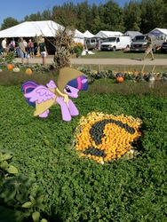 Size: 3024x4032 | Tagged: safe, gameloft, clover the clever, twilight sparkle, alicorn, pony, g4, augmented reality, gourds, irl, photo, ponies in real life, question mark, solo, twilight sparkle (alicorn)