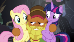 Size: 1920x1080 | Tagged: safe, screencap, cattail, fluttershy, twilight sparkle, alicorn, earth pony, pegasus, pony, a health of information, g4, discovery family logo, female, male, mare, out of context, stallion, trio, twilight sparkle (alicorn)