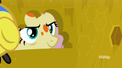 Size: 1920x1080 | Tagged: safe, screencap, fluttershy, flash bee, a health of information, g4, beehive, discovery family logo, female, solo