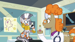 Size: 1920x1080 | Tagged: safe, screencap, doctor muffin top, zecora, earth pony, pony, zebra, a health of information, g4, clothes, discovery family logo, doctor's office, duo, female, frown, male, stallion, stethoscope, swamp fever, test tube, worried, x-ray, x-ray picture