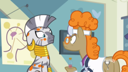 Size: 1920x1080 | Tagged: safe, screencap, doctor muffin top, zecora, earth pony, pony, zebra, a health of information, g4, butt, clothes, doctor's office, duo, glasses, male, plot, stallion, stare, stethoscope, swamp fever, test tube