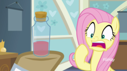 Size: 1920x1080 | Tagged: safe, screencap, doctor muffin top, fluttershy, pegasus, pony, a health of information, g4, discovery family logo, female, hoof hold, mare, offscreen character, scared, test tube