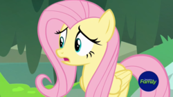 Size: 1366x768 | Tagged: safe, screencap, fluttershy, a health of information, g4, criss cross moss, moss, muck, swamp, tv-y
