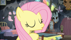 Size: 1920x1080 | Tagged: safe, screencap, fluttershy, a health of information, g4, blowing, book, discovery family logo, dust, female, meadowbrook's home, solo