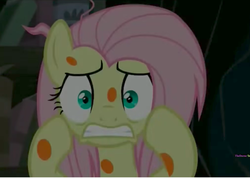 Size: 762x542 | Tagged: safe, screencap, fluttershy, a health of information, g4, concerning, fluttershy becomes a tree, swamp fever, terrified