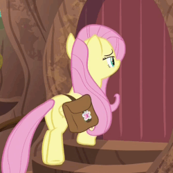 Size: 504x504 | Tagged: safe, screencap, fluttershy, twilight sparkle, alicorn, pegasus, pony, a health of information, g4, animated, circling stars, cropped, dizzy, door, female, fluttershy vs door, gif, loop, saddle bag, silly, silly pony, solo focus, twilight sparkle (alicorn)