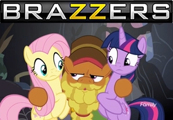 Size: 1366x949 | Tagged: safe, edit, edited screencap, screencap, cattail, fluttershy, twilight sparkle, alicorn, earth pony, pegasus, pony, a health of information, g4, brazzers, discovery family logo, female, male, mare, stallion, twilight sparkle (alicorn)