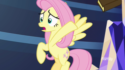 Size: 1920x1080 | Tagged: safe, screencap, fluttershy, a health of information, g4, book, discovery family logo, female, solo