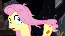 Size: 1920x1080 | Tagged: safe, screencap, fluttershy, a health of information, g4, discovery family logo, female, solo, swamp fever