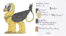 Size: 1783x985 | Tagged: safe, artist:summerium, oc, oc only, oc:gladiolus, griffon, lined paper, reference sheet, solo, traditional art
