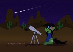 Size: 2100x1500 | Tagged: safe, artist:b-cacto, oc, oc only, oc:prickly pears, cacti, cactus, clothes, desert, flower, flower in hair, glasses, hoodie, lineless, night, saguaro cactus, shooting star, solo, stargazing, stars, sweater, vector