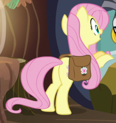Size: 509x536 | Tagged: safe, screencap, fluttershy, a health of information, g4, butt, cropped, plot, saddle bag