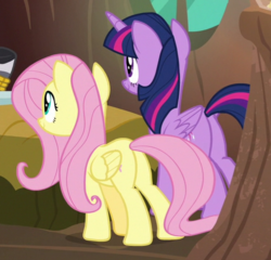Size: 501x480 | Tagged: safe, screencap, fluttershy, twilight sparkle, alicorn, pegasus, pony, a health of information, g4, butt, cropped, duo, plot, twilight sparkle (alicorn)
