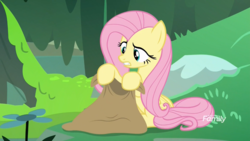 Size: 1366x768 | Tagged: safe, fluttershy, a health of information, g4, bag, grass, moss, muck, rock, sack, swamp