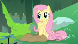 Size: 1366x768 | Tagged: safe, fluttershy, a health of information, g4, bag, cute, grass, happy, moss, muck, rock, sack, shyabetes, smiling, swamp
