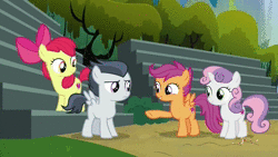 Size: 1920x1080 | Tagged: safe, screencap, apple bloom, rumble, scootaloo, sweetie belle, pegasus, pony, g4, marks and recreation, animated, colt, cutie mark crusaders, male, sound, webm