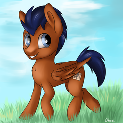 Size: 1024x1024 | Tagged: safe, artist:dbleki, oc, oc only, pegasus, pony, male, solo, stallion