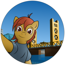 Size: 1050x1050 | Tagged: safe, artist:alixnight, oc, oc only, semi-anthro, bridge, clothes, commission, mascot, sac bronies, selfie, solo