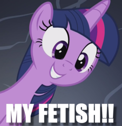 Size: 920x956 | Tagged: safe, twilight sparkle, alicorn, pony, g4, image macro, meme, that is my fetish, twilight sparkle (alicorn)