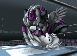 Size: 3509x2550 | Tagged: safe, artist:pridark, oc, oc only, oc:jokage, oc:silver dash, pegasus, pony, audience, commission, eyes closed, grin, high res, male, smiling, sports, stallion, wrestler, wrestling, wrestling ring