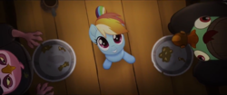 Size: 1280x540 | Tagged: safe, screencap, lix spittle, rainbow dash, squabble, parrot pirates, pony, g4, my little pony: the movie, looking up, pirate