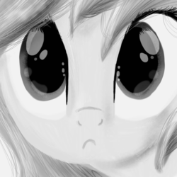 Size: 2000x2000 | Tagged: safe, artist:lannielona, rainbow dash, pegasus, pony, g4, bust, female, grayscale, high res, looking at you, mare, monochrome, portrait, shiny, solo