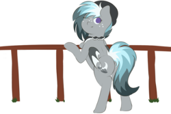 Size: 1500x1000 | Tagged: safe, oc, oc only, oc:stormy nights, bat pony, bat pony oc, beanie, hat, simple background, transparent background