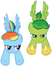 Size: 2823x3543 | Tagged: safe, artist:petraea, rainbow dash, oc, oc:swift wing, pegasus, pony, g4, armor, flying, high res, male, simple background, stallion, transparent background, vector