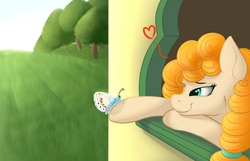 Size: 1400x900 | Tagged: safe, artist:ray-frost, pear butter, butterfly, earth pony, pony, g4, heart, window