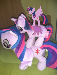 Size: 1080x1440 | Tagged: safe, twilight sparkle, alicorn, pony, g4, augmented reality, irl, photo, plushie, ponies in real life, self ponidox, tower of pony, triality, twilight sparkle (alicorn)