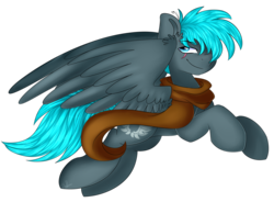 Size: 4000x2946 | Tagged: safe, artist:bl--blacklight, oc, oc only, oc:alternate, pegasus, pony, eyebrows, eyebrows visible through hair, high res, looking at you, male, simple background, smiling, smiling at you, solo, stallion, transparent background