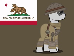 Size: 1600x1200 | Tagged: safe, artist:reisen514, pony, fallout equestria, brown background, clothes, fallout, fallout: new vegas, flag, military, military uniform, ncr, new california republic, new canterlot republic, simple background