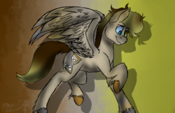 Size: 746x484 | Tagged: safe, artist:catlordess295, derpy hooves, doctor whooves, time turner, g4, ambiguous gender, female, fusion, fusion:derpy hooves, male, ship:doctorderpy, shipping, straight