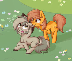 Size: 1518x1280 | Tagged: safe, artist:dsp2003, oc, oc only, oc:meadow stargazer, oc:stone, earth pony, pony, biting, blushing, chest fluff, crying, cute, ear bite, ear fluff, female, floppy ears, horses doing horse things, lesbian, mare, nom, ocbetes, open mouth