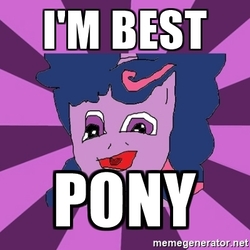 Size: 400x400 | Tagged: safe, twilight sparkle, g4, 1000 hours in ms paint, best pony, caption, exploitable meme, image macro, meme, retarded, retarded twilight meme, text, why