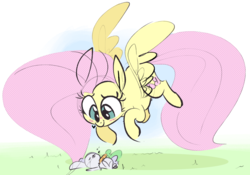 Size: 1316x919 | Tagged: safe, artist:hattsy, angel bunny, fluttershy, pegasus, pony, blushing, carrot, cute, female, flying, food, grass, lying down, mare, shyabetes, sleeping, smiling