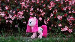 Size: 960x540 | Tagged: safe, pinkie pie, g4, cute, cuteamena, flower, hedge, irl, photo, pink, pinkamena diane pie, plushie