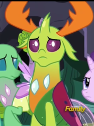 Size: 808x1080 | Tagged: safe, screencap, frenulum (g4), starlight glimmer, thorax, changedling, changeling, g4, to change a changeling, changeling hive, cropped, cute, cuteling, discovery family logo, floppy ears, king thorax, sad, sadorable, solo focus, thorabetes