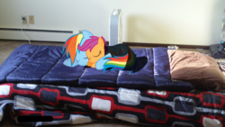 Size: 1024x576 | Tagged: safe, artist:goldenponyz, rainbow dash, scootaloo, pony, g4, bed, fan, irl, photo, ponies in real life, scootalove, shadow, sleeping, vector