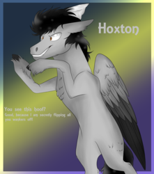 Size: 2832x3209 | Tagged: safe, artist:neonaarts, oc, oc only, oc:hoxton, high res, text
