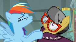 Size: 1920x1080 | Tagged: safe, screencap, a.k. yearling, daring do, rainbow dash, pegasus, pony, daring done?, g4, glasses