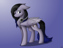Size: 4000x3067 | Tagged: safe, artist:starlessnight22, oc, oc only, oc:starless night, pegasus, pony, chest fluff, inkscape, simple background, solo, vector, wing fluff