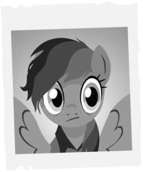 Size: 4937x5936 | Tagged: safe, artist:amarthgul, daring do, pony, daring done?, g4, absurd resolution, female, monochrome, photo, simple background, solo, transparent background, vector