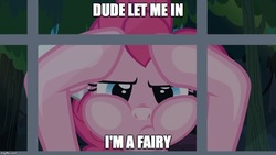 Size: 884x499 | Tagged: safe, edit, edited screencap, screencap, pinkie pie, fairy, daring done?, g4, against glass, dude let me in, female, glass, image macro, meme, solo, text
