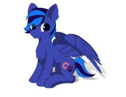 Size: 3300x2550 | Tagged: safe, artist:lunar froxy, oc, oc only, oc:night shadow, pegasus, pony, chest fluff, high res, male, shadow, simple background, solo, stallion, white background