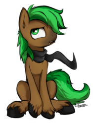 Size: 902x1200 | Tagged: safe, artist:fidzfox, oc, oc only, oc:jaeger sylva, earth pony, pony, clothes, earth pony oc, male, scarf, simple background, solo, transparent background, unshorn fetlocks, worried